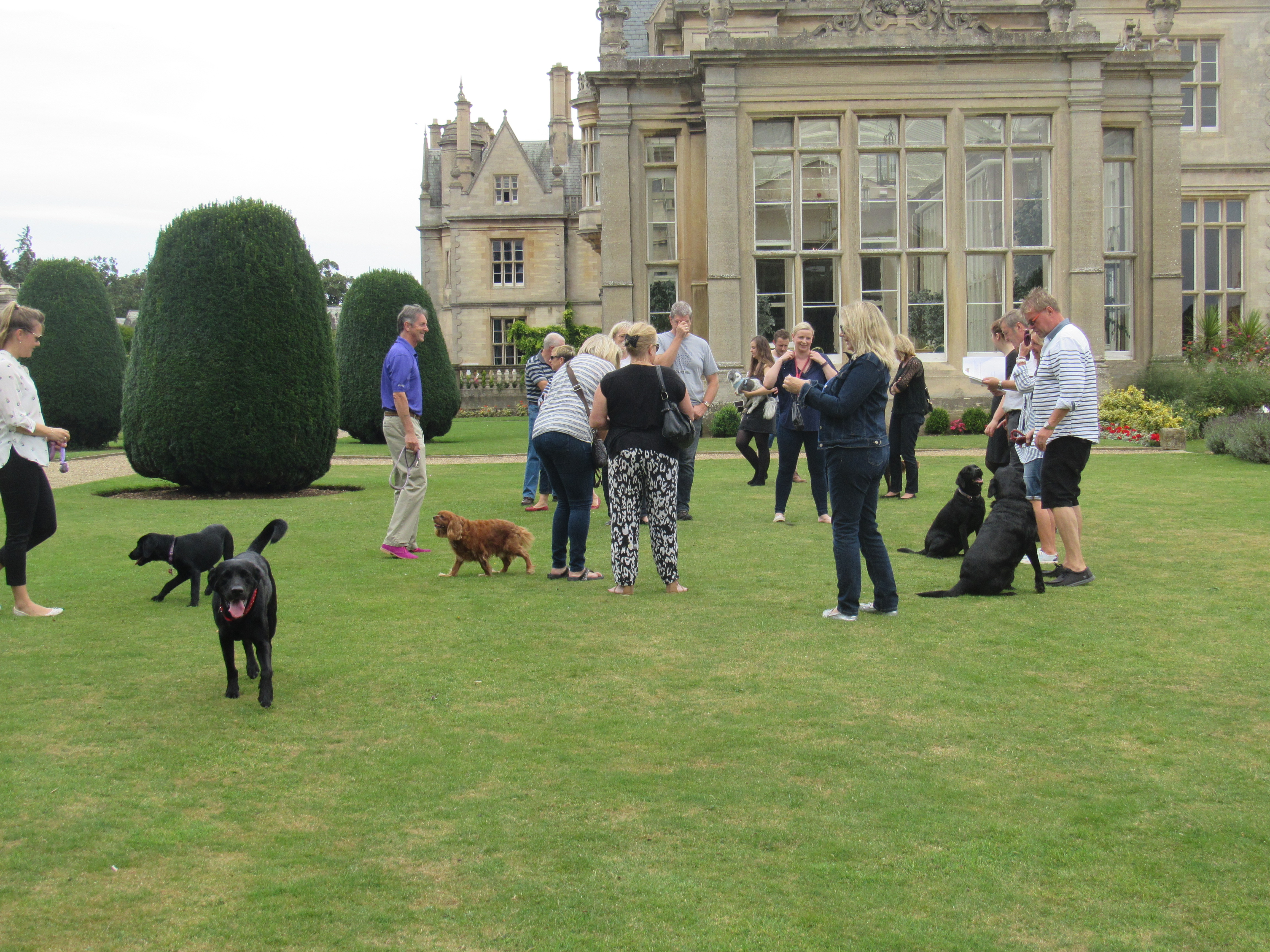 Scrufts & Owners on the Lawn at Stoke Rochford Hall Grantham