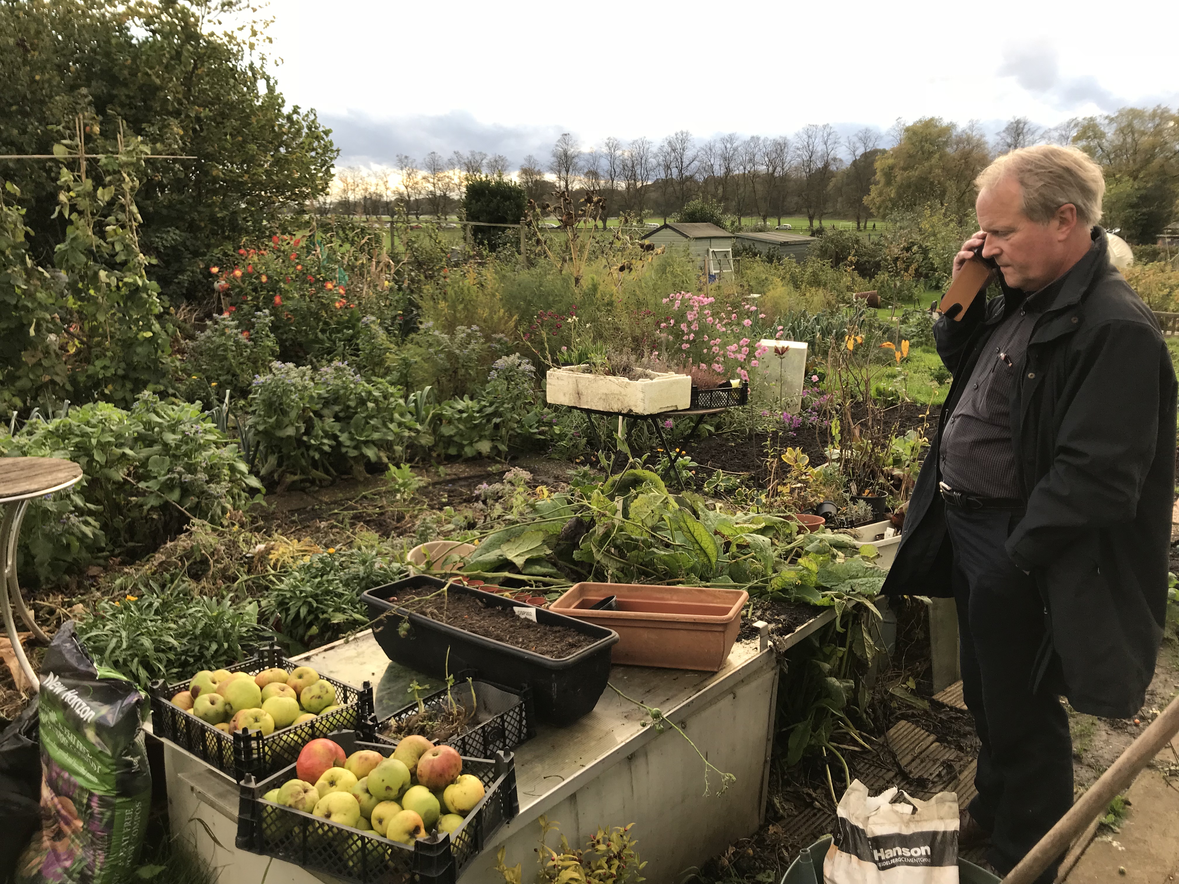 Roger Lee at his York allotment